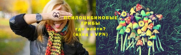 скорость Богданович