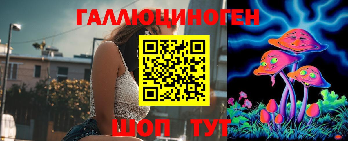 Псилоцибиновые грибы мицелий Горячий Ключ