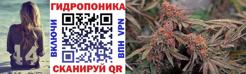 где купить   Горячий Ключ  Бошки марихуана OG Kush 